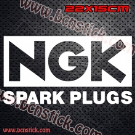 2x Logos Racing "NGK Spark Plugs"