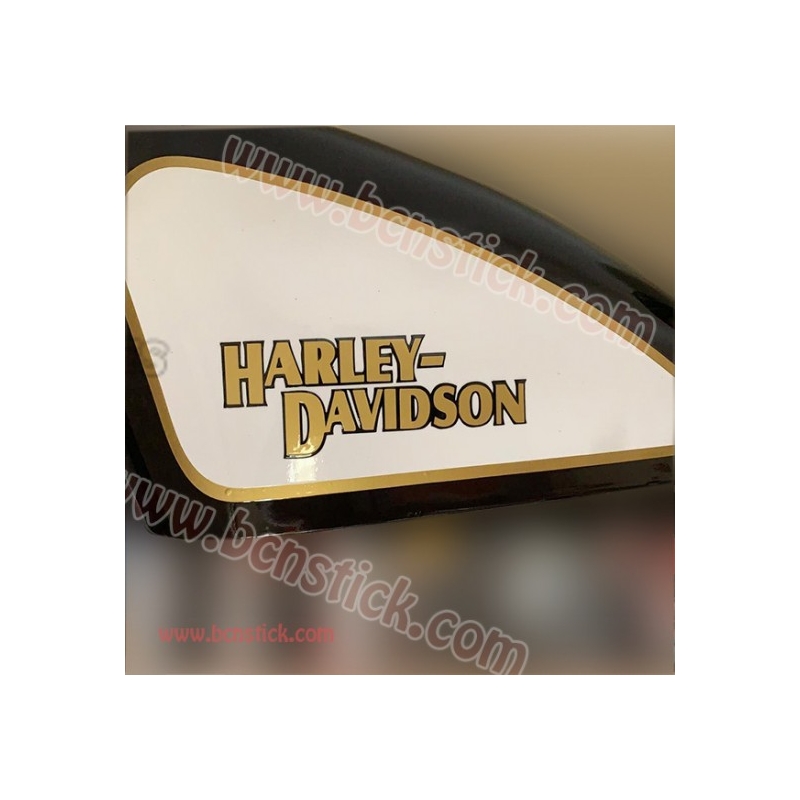 Kit adhesivos Harley Davidson