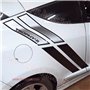 Kit de laterales RENAULT Megane RS TROPHY-R