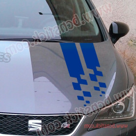 Pegatinas para capó coche deportivo